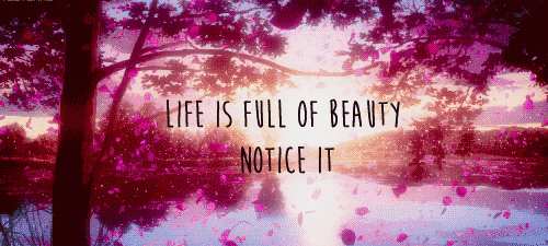 Image result for the beauty of life gif